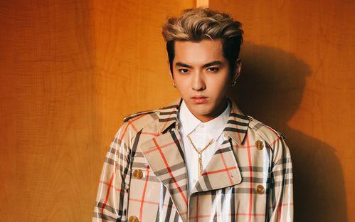 吴亦凡滚出娱乐圈