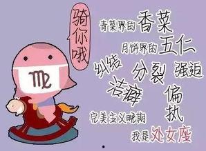 土豪搞笑自我介绍,笑谈财富与人生